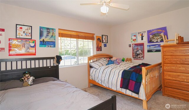 20527 SE 158th St, Renton, WA 98059 - photo 14