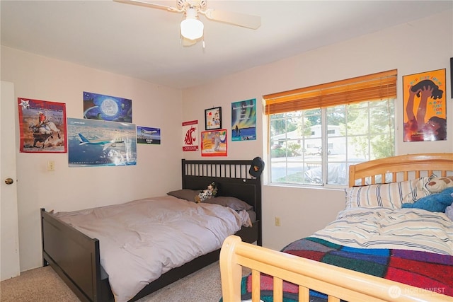 20527 SE 158th St, Renton, WA 98059 - photo 12