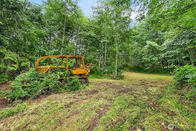 370 Van Wyck Rd, Bellingham, WA 98226 - view of yard featuring a forest view