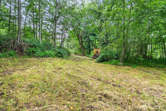 370 Van Wyck Rd, Bellingham, WA 98226 - view of yard