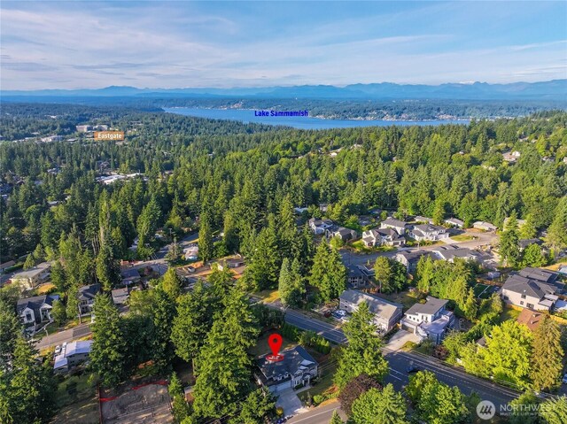 14918 SE 46th St, Bellevue, WA 98006