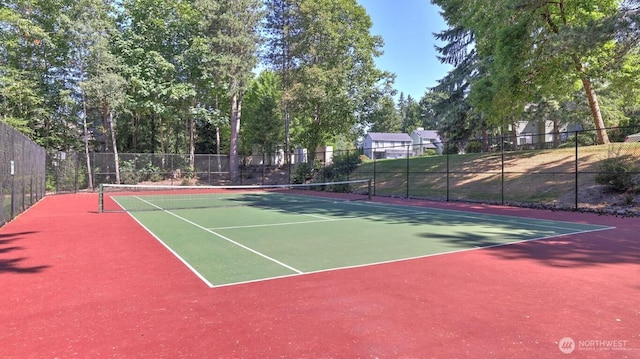4123 244th Ln SE Unit 46, Sammamish, WA 98029 - photo 27
