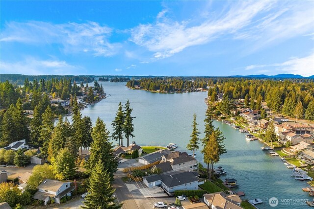 20910 Church Lake Dr E, Bonney Lake, WA 98391 - photo 33