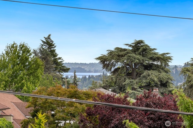 3106 NE 60th St, Seattle, WA 98115 - water view