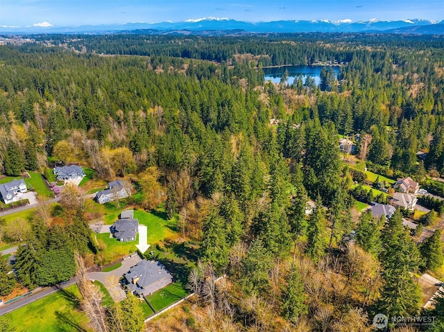 20300 166th Ave NE, Woodinville, WA 98072 - photo 38