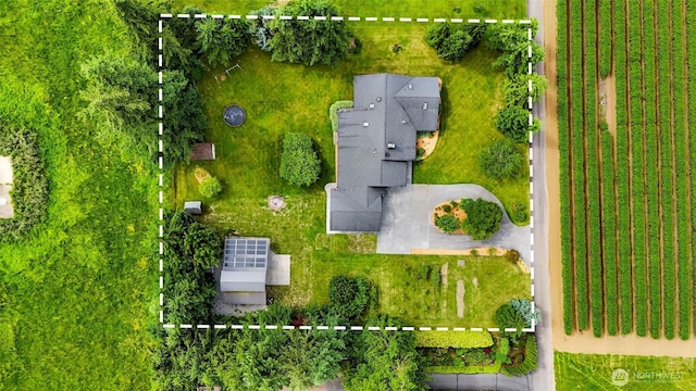 599 Loomis Trail Rd, Lynden, WA 98264 - view of property location with property boundaries highlighted