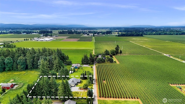 599 Loomis Trail Rd, Lynden, WA 98264 - overview of rural landscape featuring rows of crops and a mountain backdrop