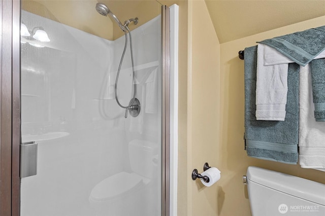 218 Lilly Ln, Mount Vernon, WA 98274 - full bath with toilet and a shower