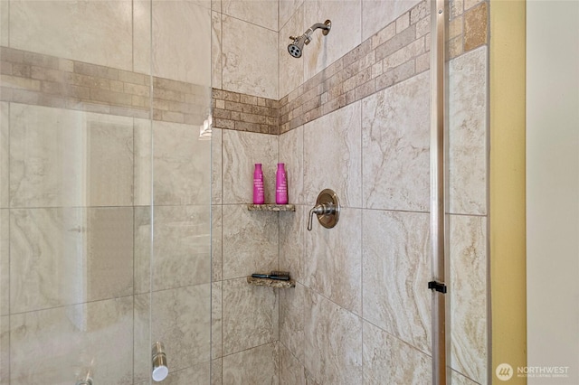 218 Lilly Ln, Mount Vernon, WA 98274 - bathroom view of a tile shower