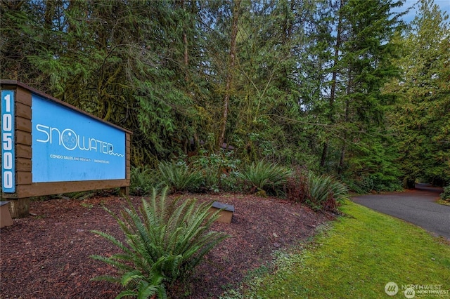 10500 Mt Baker Hwy Unit 207, Deming, WA 98244 - exterior view