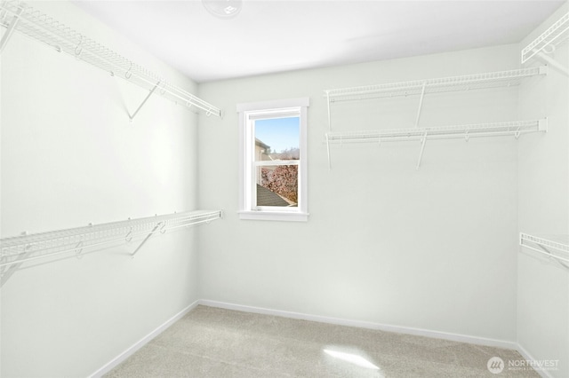 3419 NE Meadow Way, Issaquah, WA 98029 - walk in closet featuring light colored carpet