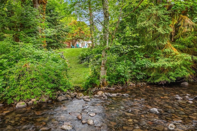 12407 Upper Preston Rd SE, Issaquah, WA 98027 - view of grassy yard