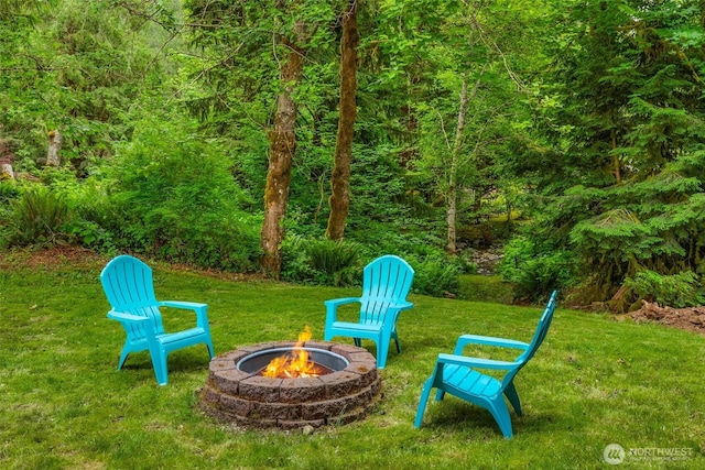 12407 Upper Preston Rd SE, Issaquah, WA 98027 - view of grassy yard with an outdoor fire pit