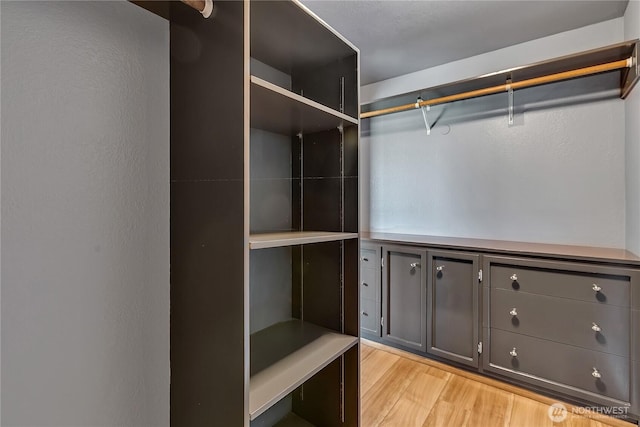 622 119th Ave E, Edgewood, WA 98372 - walk in closet with light wood finished floors