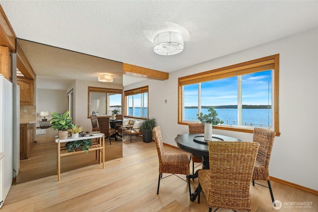 10203 47th Ave SW Unit A206, Seattle, WA 98146 - photo 9