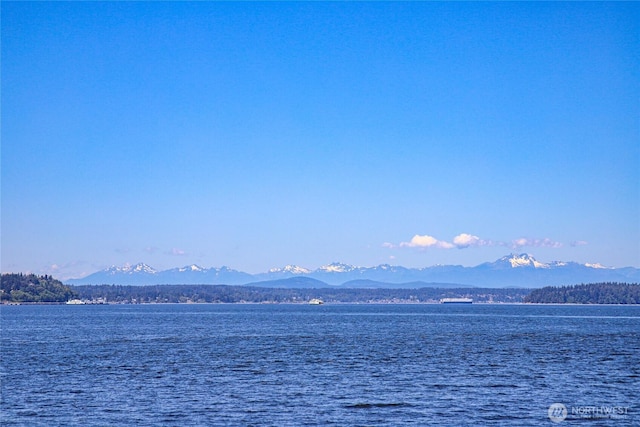10203 47th Ave SW Unit A206, Seattle, WA 98146 - photo 27