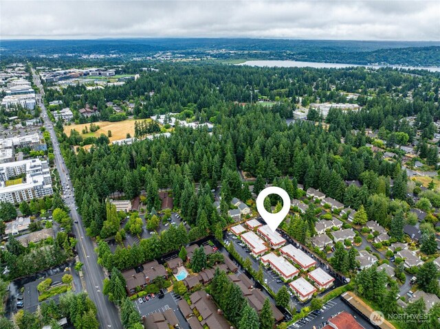 15749 NE 18th St Unit B5, Bellevue, WA 98008 - aerial overview of property's location