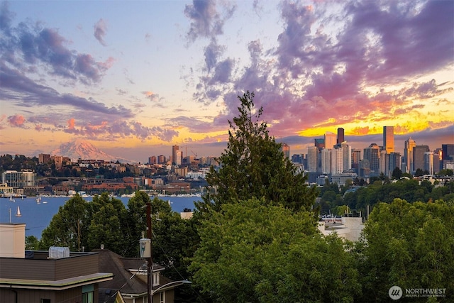 3659 Whitman Ave N, Seattle, WA 98103 - skyline view