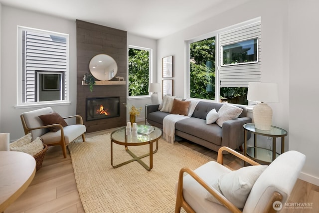 1746A NW 62nd St, Seattle, WA 98107 - living area featuring a fireplace and light wood-style flooring