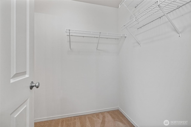 22532 43rd Ave S Unit 19-2, Kent, WA 98032 - spacious closet with light carpet