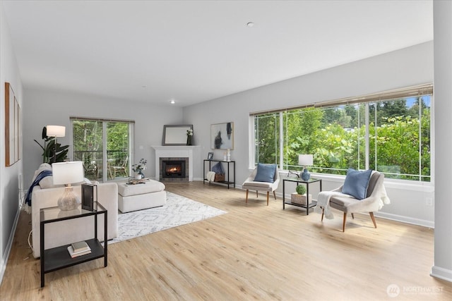 15000 Juanita Dr NE Unit 402, Kenmore, WA 98028 - living area featuring wood finished floors and a tiled fireplace