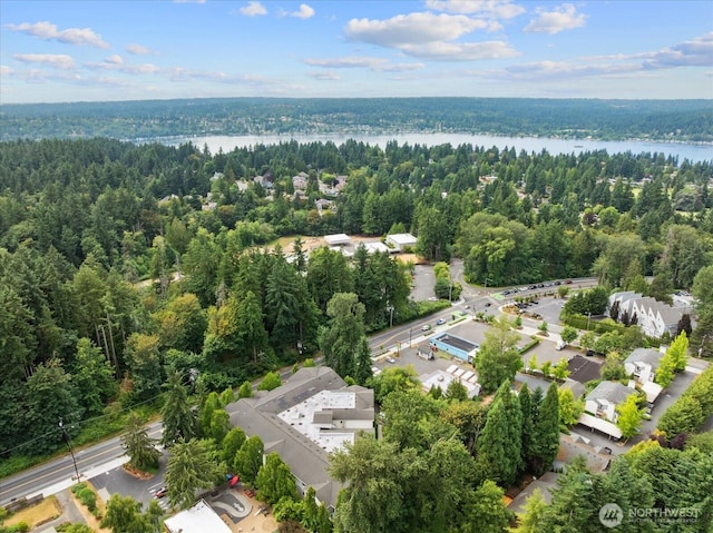 15000 Juanita Dr NE Unit 402, Kenmore, WA 98028 - aerial view of property's location with a heavily wooded area and a nearby body of water