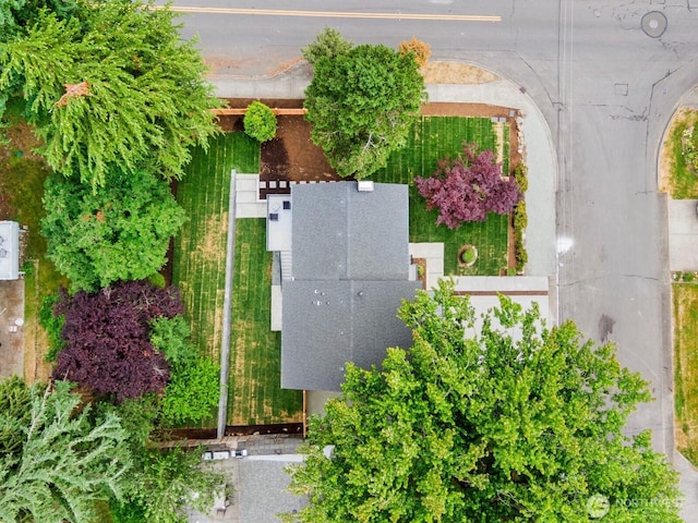 7502 117th Ave NE, Kirkland, WA 98033 - bird's eye view