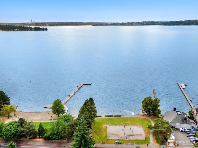 7502 117th Ave NE, Kirkland, WA 98033 - water view