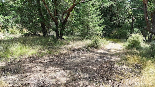 0 Woodpecker Ln, Friday Harbor, WA 98250