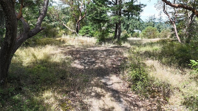 0 Woodpecker Ln, Friday Harbor, WA 98250