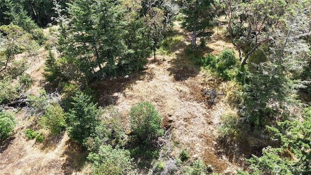 0 Woodpecker Ln, Friday Harbor, WA 98250