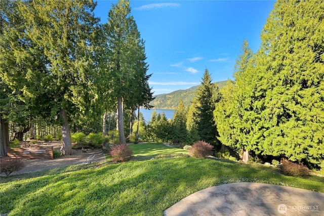 3445 S Bay Dr, Sedro Woolley, WA 98284 - photo 36