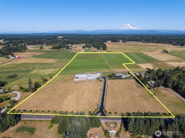30721 40th Ave S, Roy, WA 98580 - photo 37