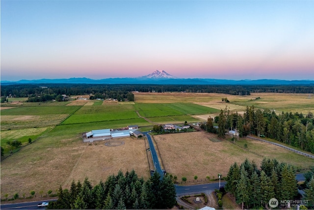 30721 40th Ave S, Roy, WA 98580 - photo 30