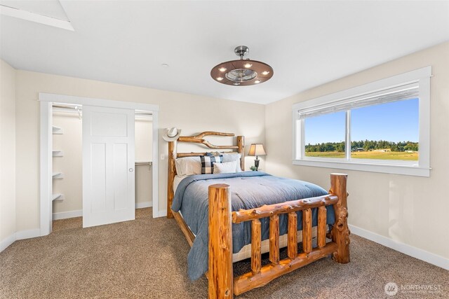 30721 40th Ave S, Roy, WA 98580 - photo 19