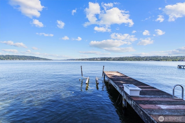 11136 Rainier Ave S, Seattle, WA 98178 - photo 10