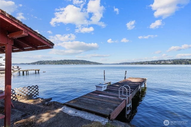 11136 Rainier Ave S, Seattle, WA 98178 - photo 11