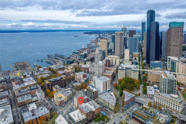 210 3rd Ave S Unit 3C, Seattle, WA 98104 - photo 2
