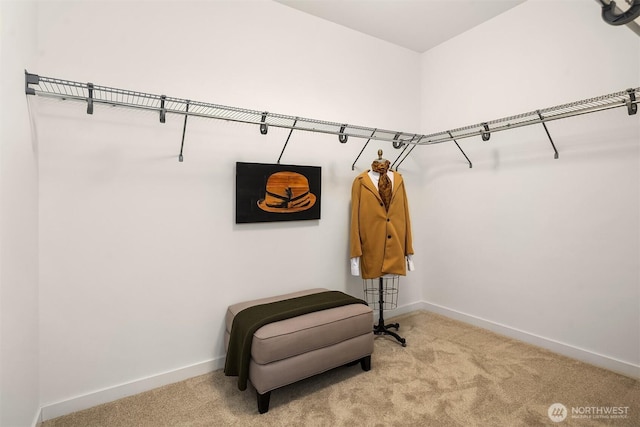 909 29th Ave S, Seattle, WA 98144 - spacious closet with carpet