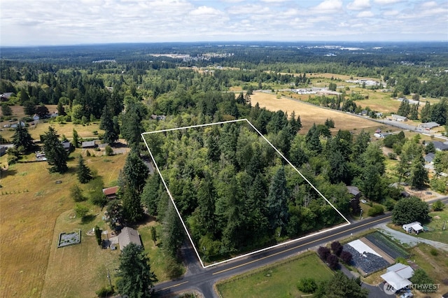 10619 238th St E, Graham, WA 98338 - photo 1