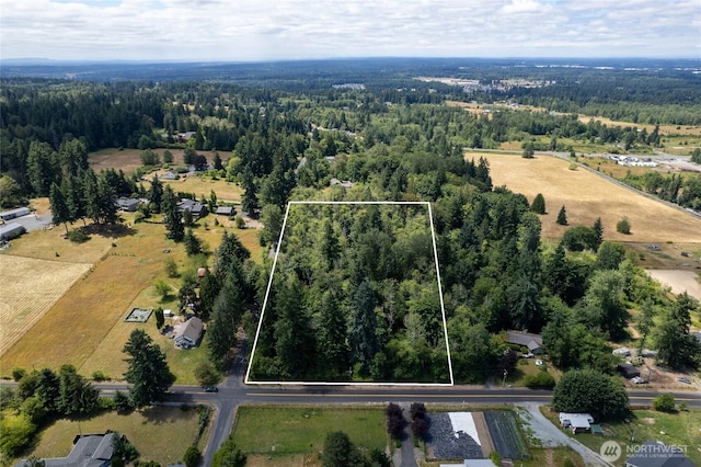 10619 238th St E, Graham, WA 98338 - photo 4