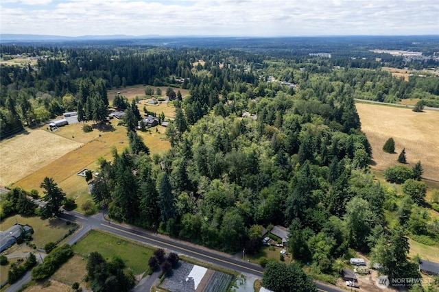 10619 238th St E, Graham, WA 98338 - photo 17