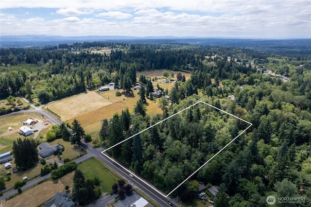 10619 238th St E, Graham, WA 98338 - photo 5