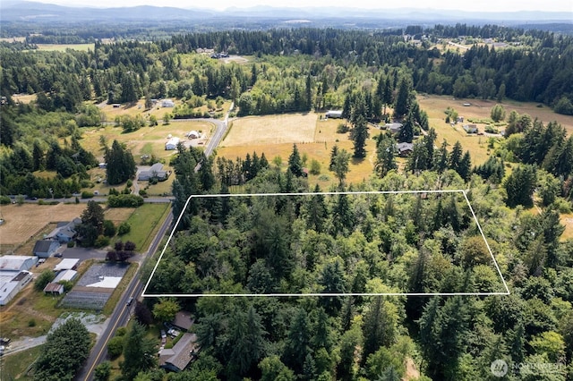 10619 238th St E, Graham, WA 98338 - photo 6