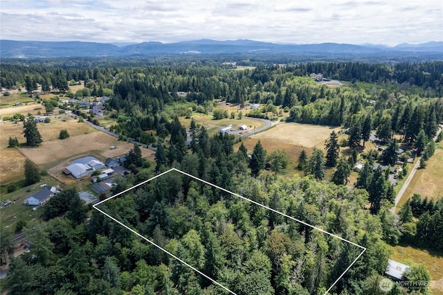 10619 238th St E, Graham, WA 98338 - photo 8