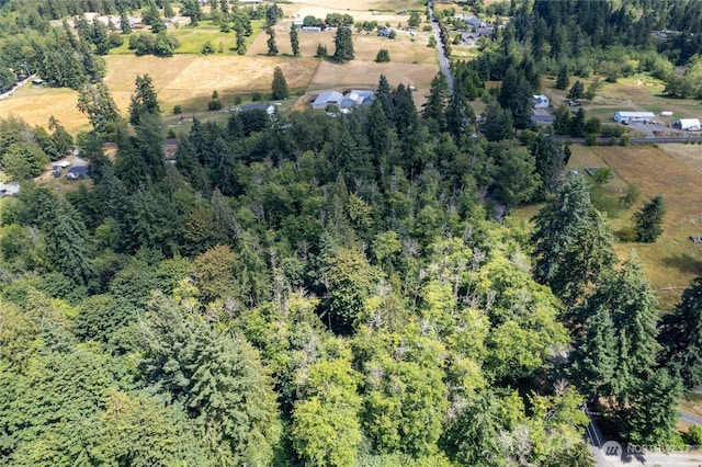 10619 238th St E, Graham, WA 98338 - photo 10