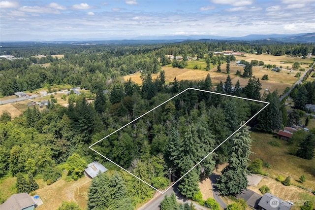 10619 238th St E, Graham, WA 98338 - photo 3