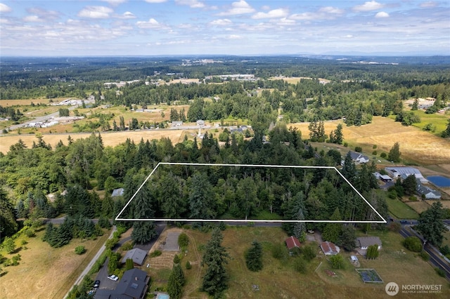 10619 238th St E, Graham, WA 98338 - photo 11