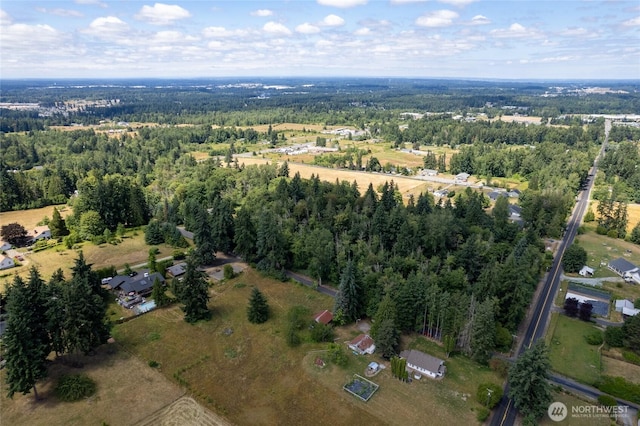 10619 238th St E, Graham, WA 98338 - photo 12