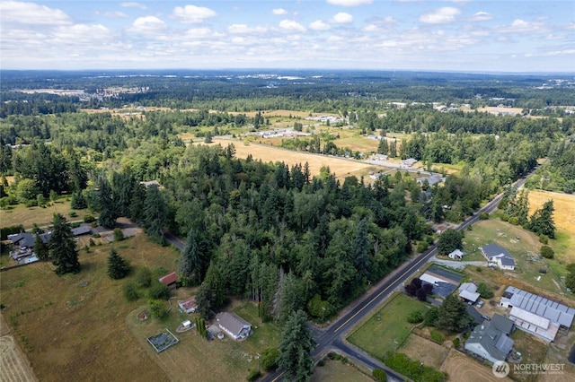 10619 238th St E, Graham, WA 98338 - photo 14